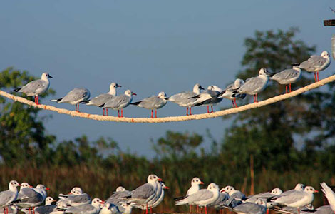 21 aprile: Valgrande a Bibione aperta!