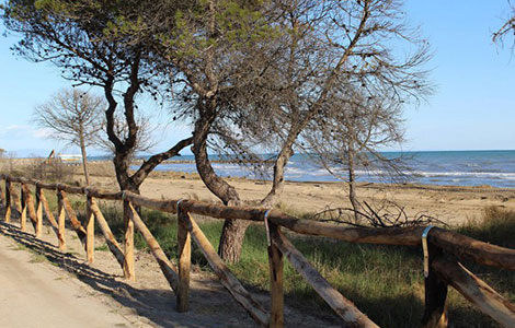 Bibione, nature, sports and relax