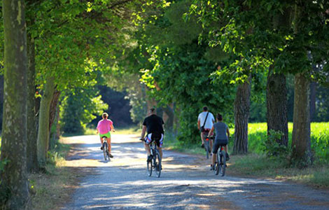 Bikeezy new way to discover our Land