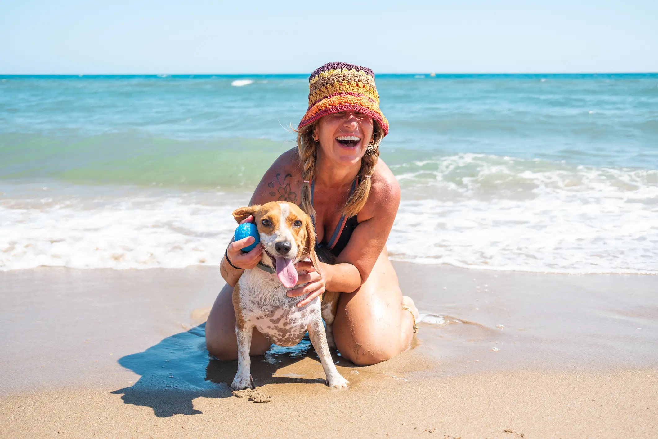dog beaches in venice bibione, jesolo and caorle