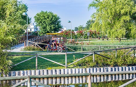 Grüner Sommer für Sie und Ihre Kinder Lampo