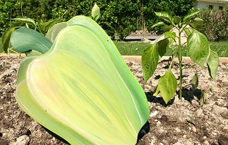 Grüner Sommer für Sie und Ihre Kinder