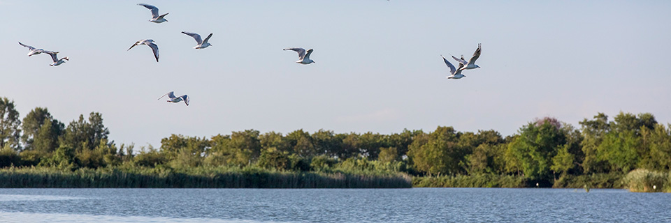 Die Lagune, erstaunliche Landschaft