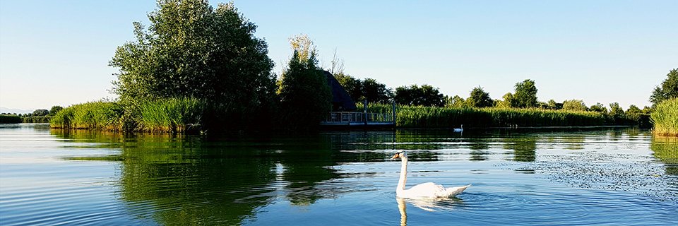 Die Lagune, erstaunliche Landschaft