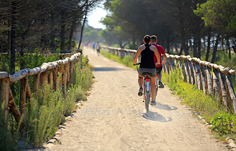 Summer cycling in Bibione