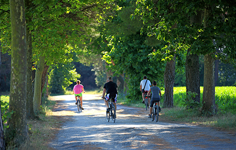 Auf dem Fahrrad durch  Bibione