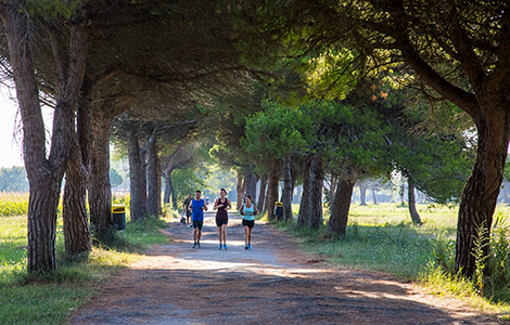 Vacanza lenta, lo slow-tourism in Veneto