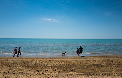 Le vacanze con l’amico a quattro zampe