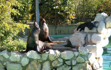 Una giornata al Parco Zoo Punta Verde