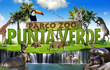 Una giornata al Parco Zoo Punta Verde