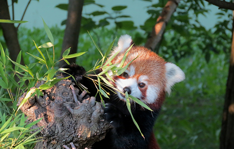 Ein Tag im Zoopark Punta Verde