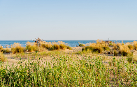 Misteri e leggende delle nostre spiagge