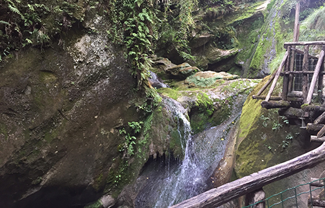 Trip to the Caglieron Caves