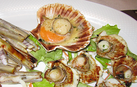 The best seafood restaurants in Bibione Lampo