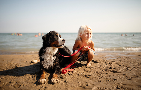 How to book a beach umbrella in Caorle