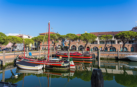 Mercato ittico di Caorle Lampo