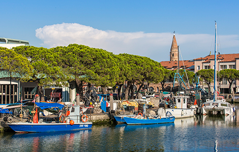 Mercato ittico di Caorle Lampo