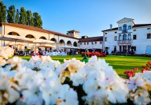 degustazione_vini_paladin (4)