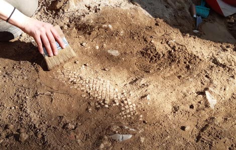 Archaeological discoveries in Bibione