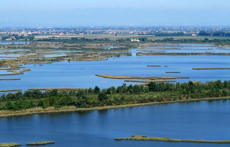 Oasi di Vallevecchia Lampo