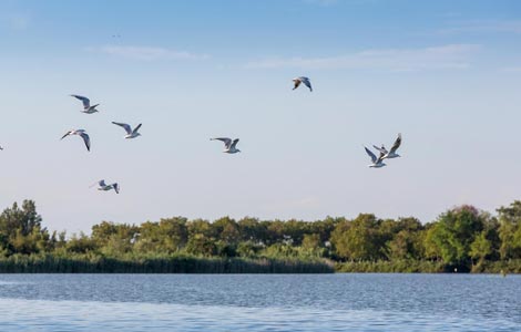 Vallevecchia conservation area