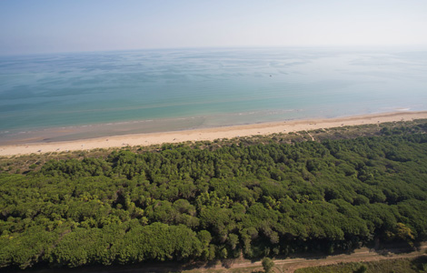 Strand La Brussa Lampo