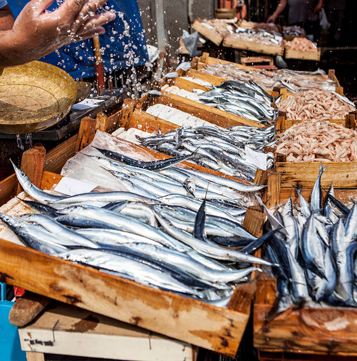 Pescato del mare caorle