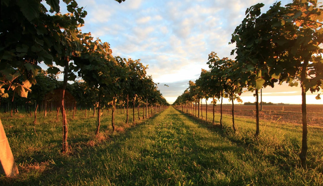 Altanea weather Autumn