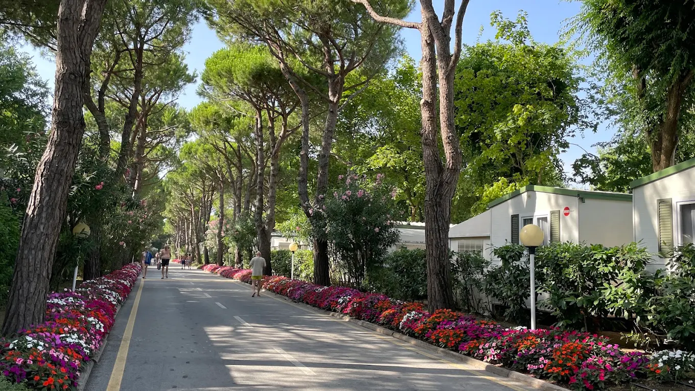 Cavallino VENICE